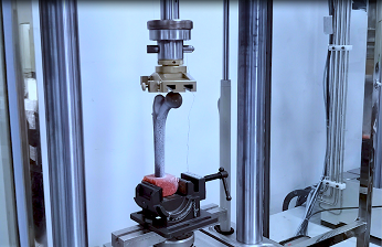 数字图像相关法（DIC）在骨骼材料变形测量的应用